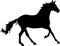The horse is a slender, graceful animal, with highly developed muscles and a strong constitution.Silhouette