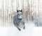 Horse in snowdrift