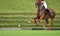 Horse speed in a Polo