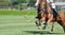Horse speed in polo match