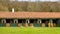 Horse stables empty on animal farm