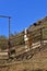 Horse standing in a corral at an angle