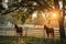 Horse standing in a farm at sunset