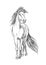 Horse standing with waving mane pencil sketch