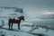 Horse stands against breathtaking Icelandic backdrop, creating stunning landscape