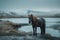 Horse stands against breathtaking Icelandic backdrop, creating stunning landscape