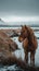 Horse stands against breathtaking Icelandic backdrop, creating stunning landscape