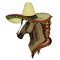 Horse, steed, courser. Sombrero mexican hat. Portrait of wild animal.