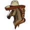 Horse, steed, courser. Sombrero mexican hat. Portrait of wild animal.