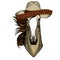 Horse, steed, courser. Sombrero mexican hat. Portrait of wild animal.