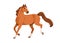 Horse, strong wild stallion, equine animal in action, motion. Racehorse walking, running, going, moving. Beautiful steed