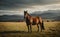 Horse Stud and her beautiful foal on a field .Generative AI