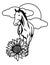 Horse sunflower cloud sun vector line art