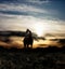 Horse and sunset