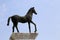 Horse symbol of the little town called CAVALLINO near Venice in