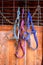 Horse tack hanging in dusty barn