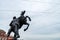 Horse tamer sculpture in St.Petersburg