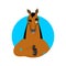 Horse thumbs up and winks. Steed happy emoji. hoss Vector illustration