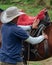 Horse trainer securely securing saddle straps