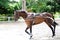 Horse Training - lunging the