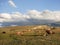 Horse trekking in Mongolia. Wild campingsite.