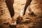 A horse trots through the arena, stepping with its hooves on the sand on a sunny day. Equestrian sports