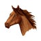 Horse trotter head vector sketch symbol
