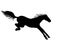 Horse. Vector black silhouette of a horse landing after a jump - a sign for a pictogram or logo. Jumping horse is being landed -