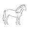 Horse vector illustration - black and white outline. beautiful horse, horse icon, vector sketch illustration, the horse is