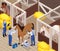 Horse Veterinary Isometric Composition