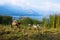 Horse walking on a meadow along Lago Atitlan with mountainrange, San Juan la Laguna, Guatemala, Central America