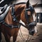 A horse wearing futuristic-looking horse shoes with built-in sensors for performance tracking1