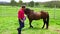 Horse whisperer pats horse on nose in green grassy yard, slow motion wide shot