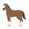 Horse wild or domestic animal. Brown mammal