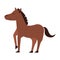 Horse wildlife cute animal cartoon