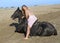 Horse woman on the beach