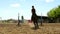 Horse woman jumps through the barrier on horseback slow motion