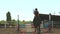 Horse woman jumps through the barrier on horseback slow motion