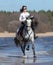 Horse woman and Spanish horse speed running into sea with splashes