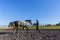 Horse Woman Training Gray Animal Outdoor Arena