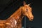 Horse Wooden Sculpture: Brown Woodcarving Statue