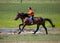 On horseback across the steppe