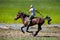 On horseback across the steppe