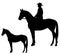 Horseback cowboy profile vector silhouette