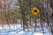 Horseback crossing sign on rural road in winter
