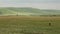 Horseback rider in field