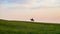 Horseback rider galloping on a scenic coastal hill