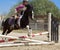 Horseback Rider Jumping