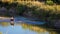 Horseback Rider in Rio Grande River at Big Bend National Park