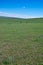 Horseback riders in grassland